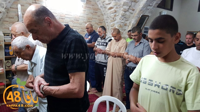 7ozaifa yaman (4).jpg